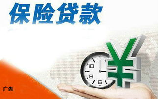 陜西興海普惠信息咨詢服務有限旬陽分公司 專業信息咨詢服務的可靠選擇