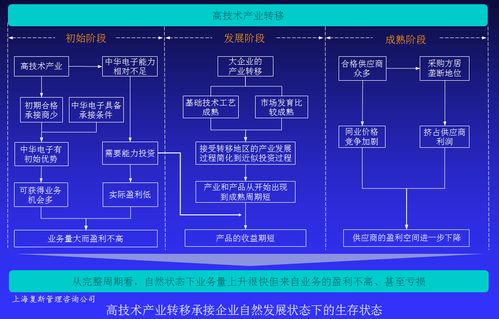 高技術產(chǎn)品企業(yè)盈利能力提升案例Ⅳ 以戰(zhàn)略咨詢?yōu)榛c，驅(qū)動技術賦能與價值變現(xiàn)